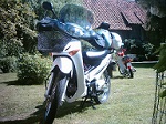 Benutzeravatar